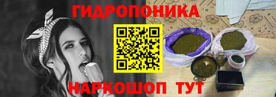 дурь Кингисепп