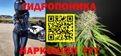 дурь Кингисепп